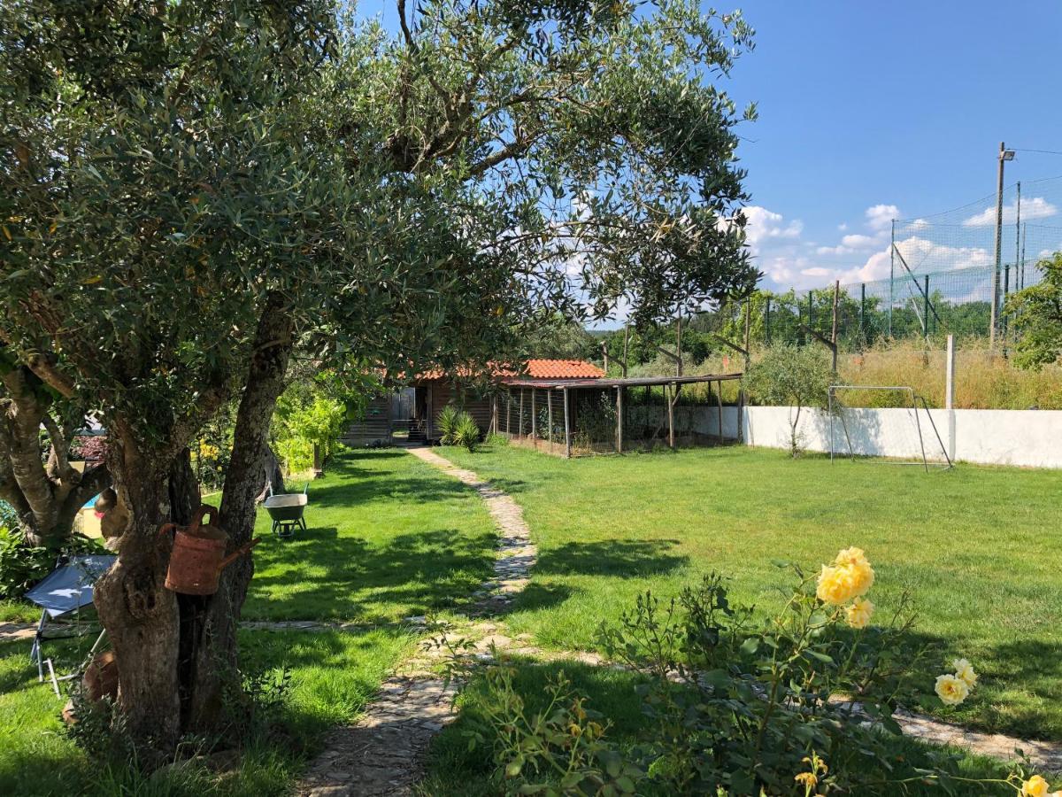 Appartamento A Casa Amarela Pinheiro de Coja Esterno foto